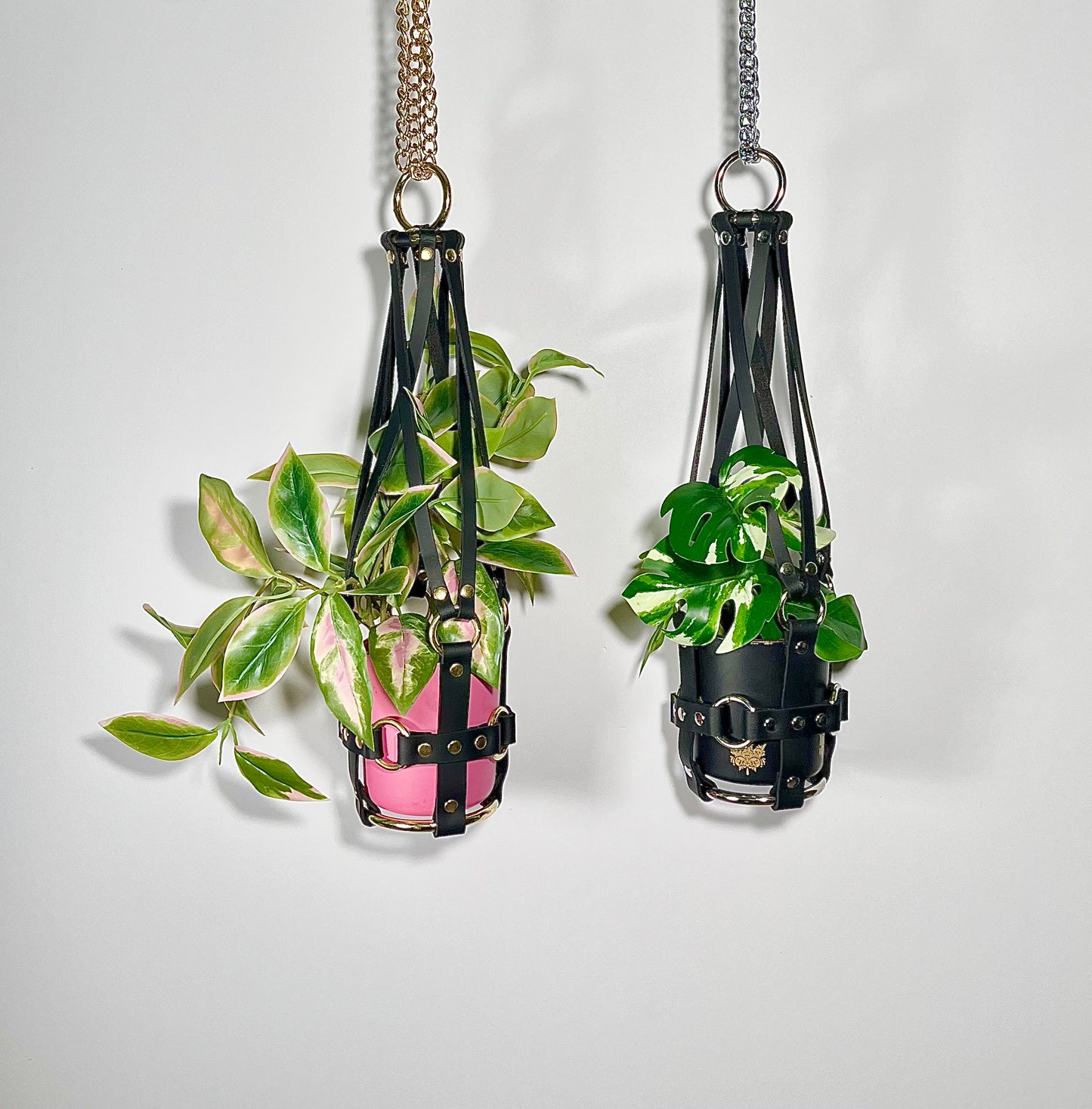 Little Leather Daddy 4" Plant Hanger in Black