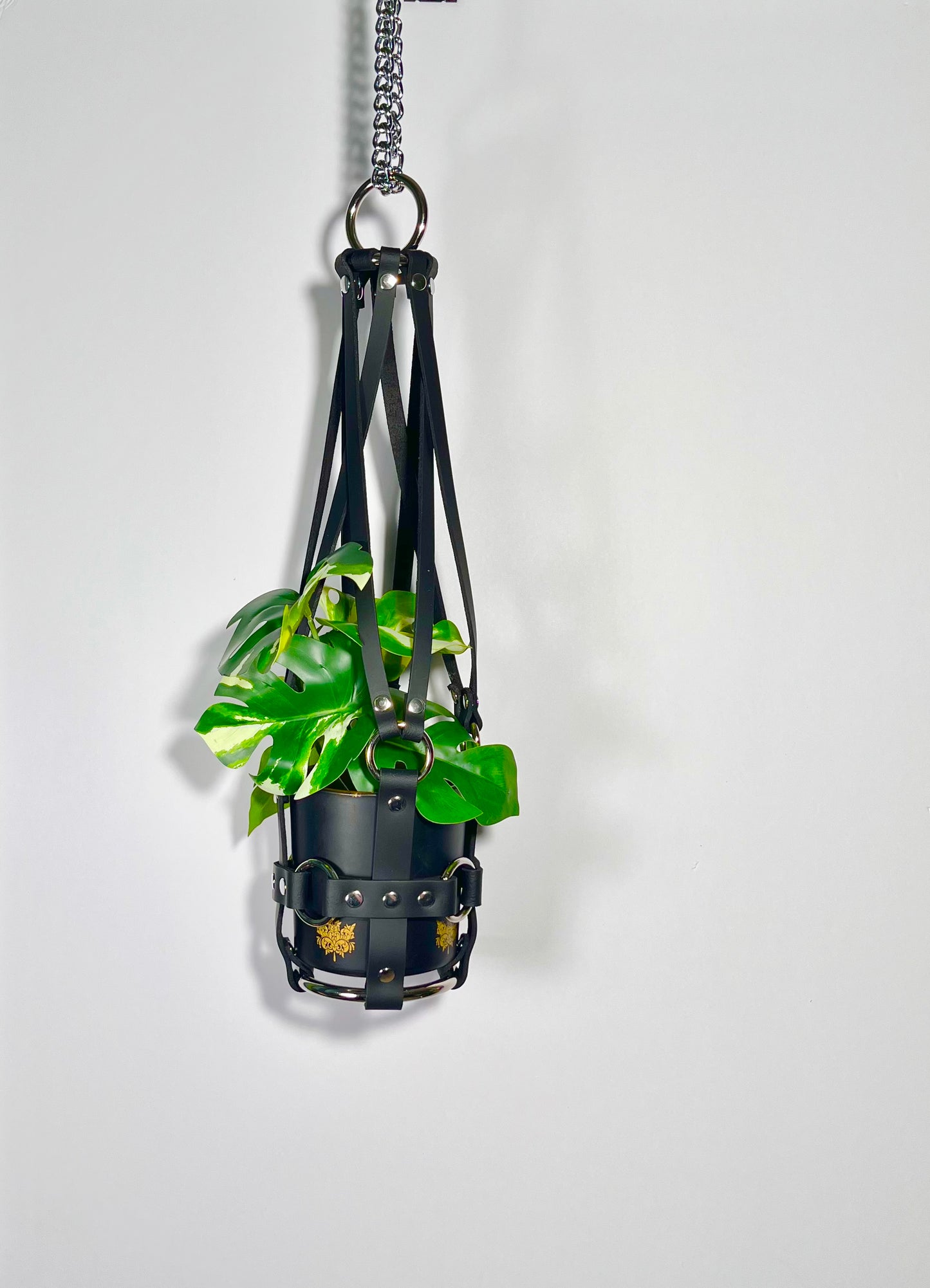 Little Leather Daddy 4" Plant Hanger in Black