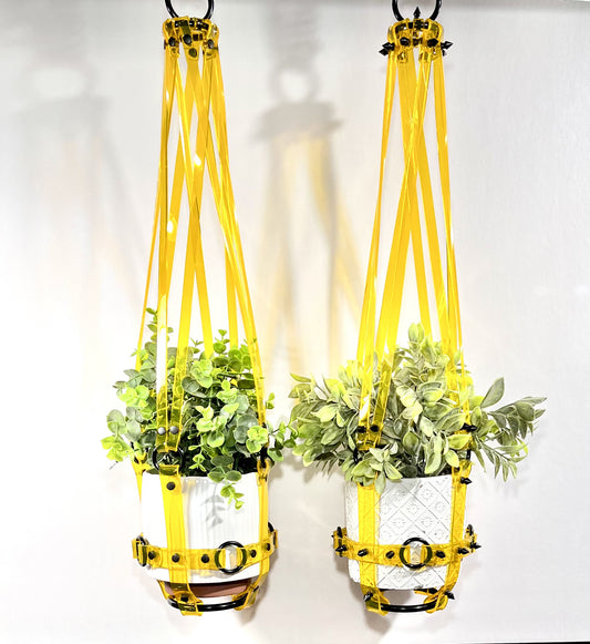Basic Bitch 6" Plant Hanger in Clear Yellow