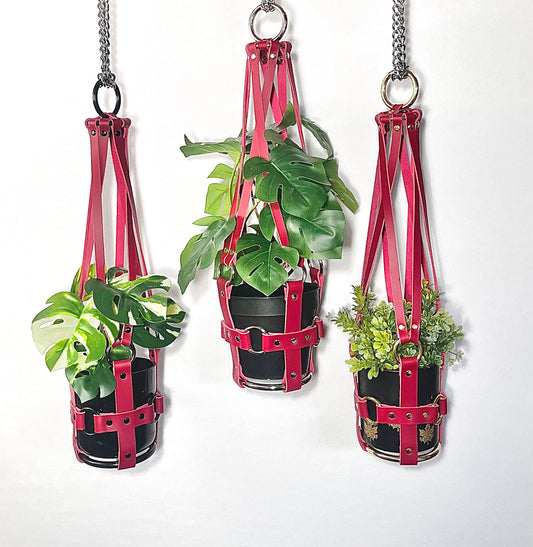 Little Leather Daddy 4" Plant Hanger in Red
